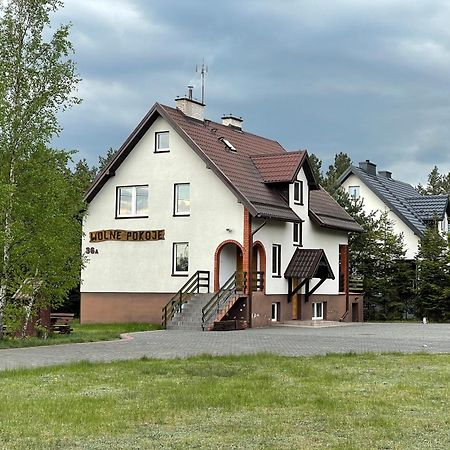 Villa Duzy Dom Dla 16 Osob à Borsk Extérieur photo